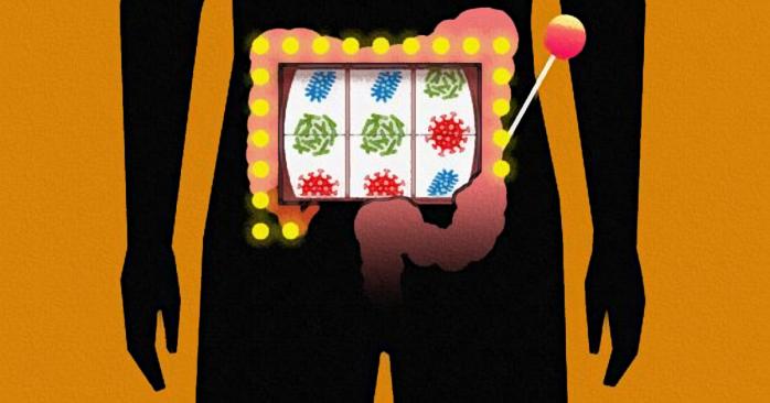 Ученые установили, от чего зависит состав микробиомы кишечника, фото: Институт Карнеги