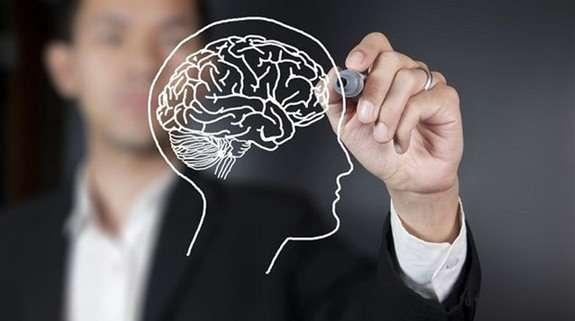 Медики рассказали, как продлить работоспособность мозга. Фото: media.acc.cv.ua