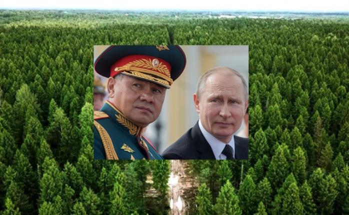 Шойгу и путин планируют тотальную вырубку украинского леса - разведка
