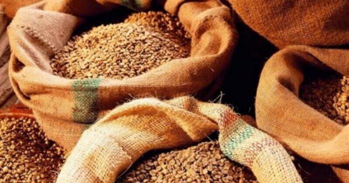 росія активно вивозить українське зерно, фото: «Погляд»