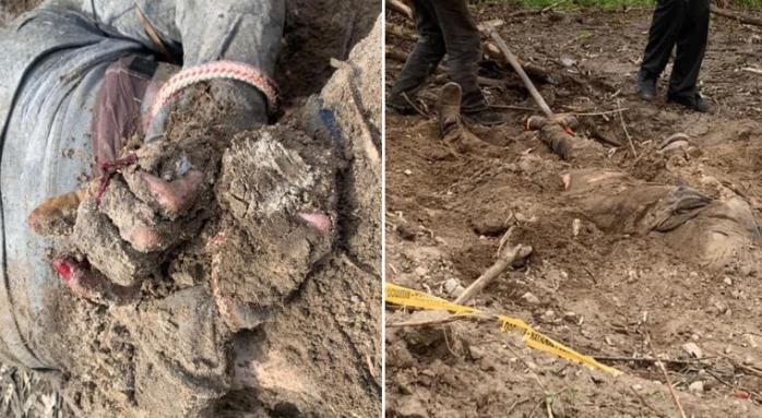 Сорванные ногти и связанные руки — найдены новые тела убитых жителей Киевщины