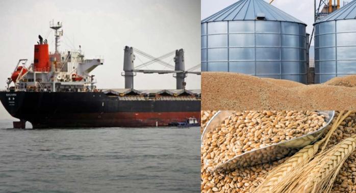 рф попыталась вывезти в Египет украденное украинское зерно