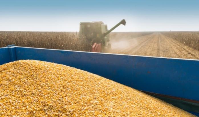 Китай пропонує «зелений коридор» для експорту зерна з України