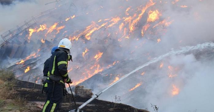 У Миколаєві спалахнула пожежа на складах із зерновим шротом, фото: ДСНС