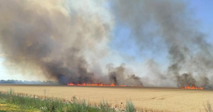 росіяни не дозволяють гасити пожежі на полях. Фото: Нацполіція