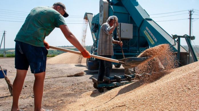 Безопасность вывоза зерна из портов Украины будет контролировать мониторинговая группа ООН в Стамбуле 