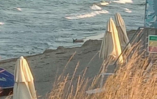 На пляж болгарського курорту викинуло прискорювач ракети ЗРК "Панцир-С1"