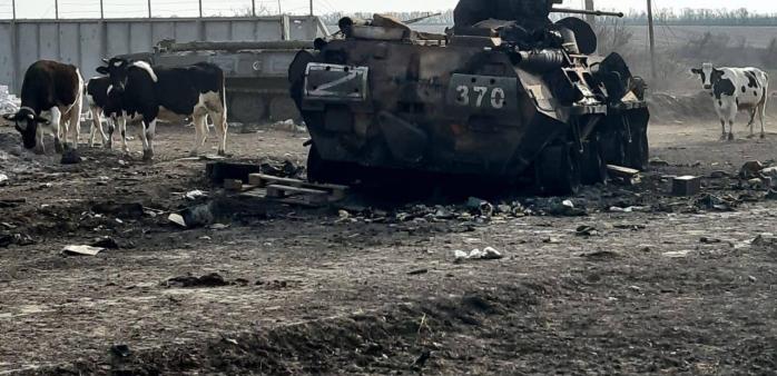 Майже 4 тис. бойових броньованих машин противника знищили ЗСУ. Фото: 