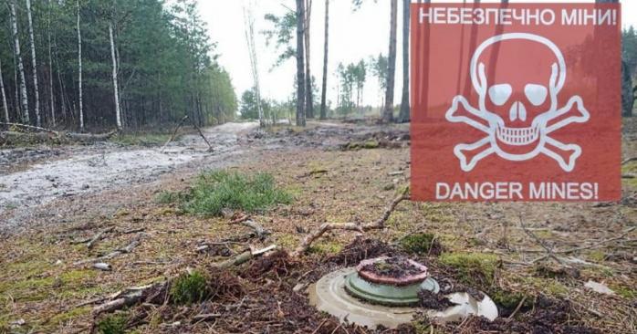 В лесах на Волыни установлены минные заграждения, фото: 100 Отдельная Бригада ТрО Волыни