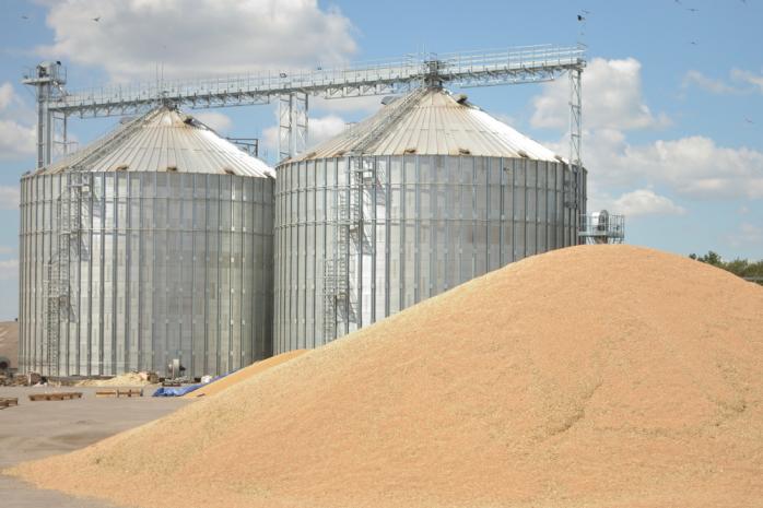 Украденное зерно на 87 сухогрузах рф вывозит на Ближний Восток - посол