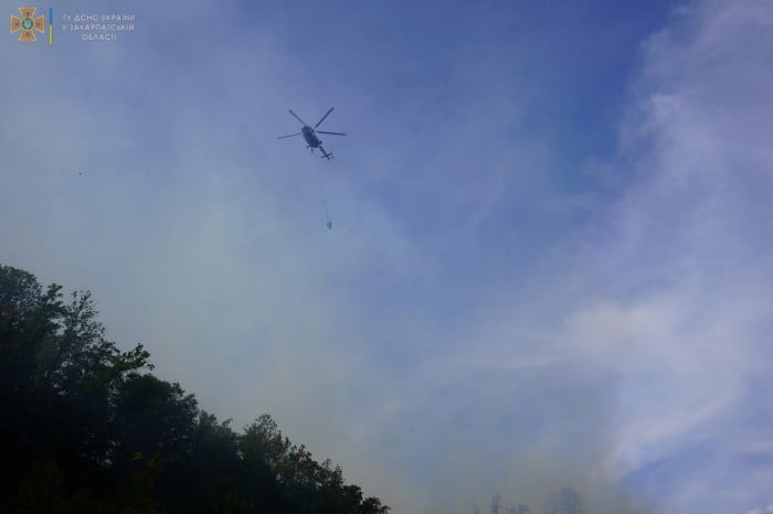 Пожежа на горі Савчин, фото: ДСНС