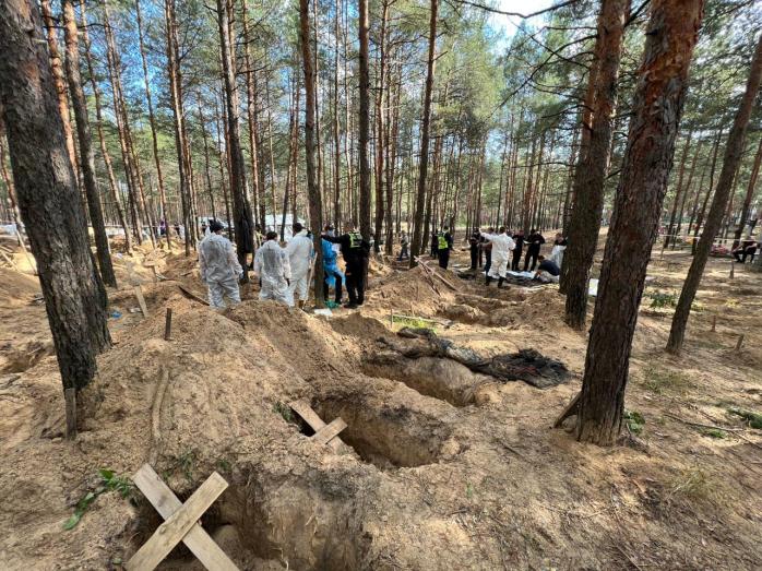 В лесу возле Изюма нашли останки 11 человек, пол которых невозможно определить 