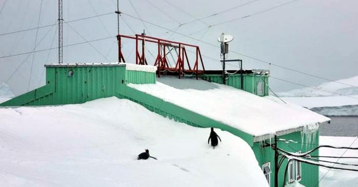Сніг на станції «Академік Вернадський», фото: Національний антарктичний науковий центр