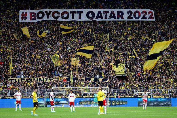 Катар заборонив пиво на стадіонах під час ЧС з футболу - за два дні до старту 