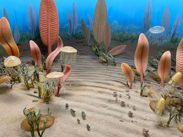 Морське дно в едіакарський період, фото: Smithsonian Institution