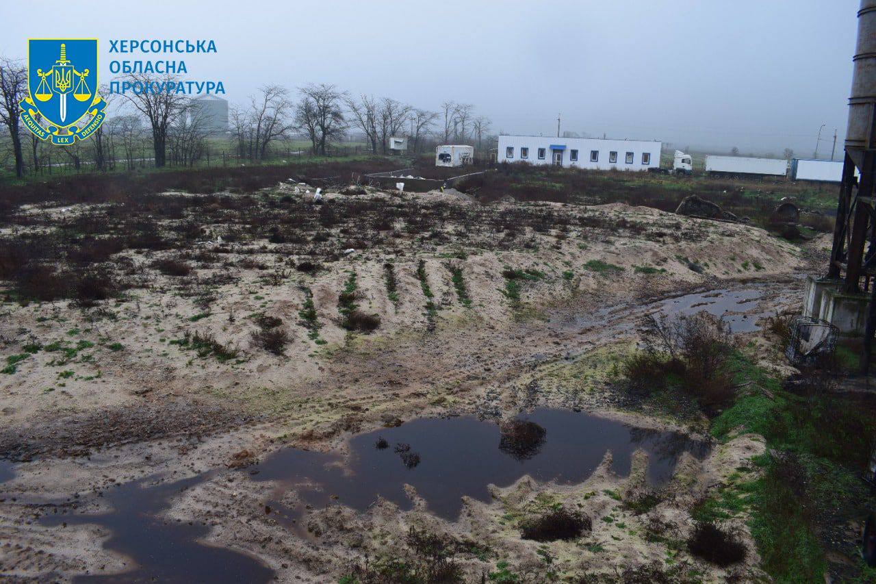 У Чорнобаївці стався масовий мор птахів через злочини армії росії 