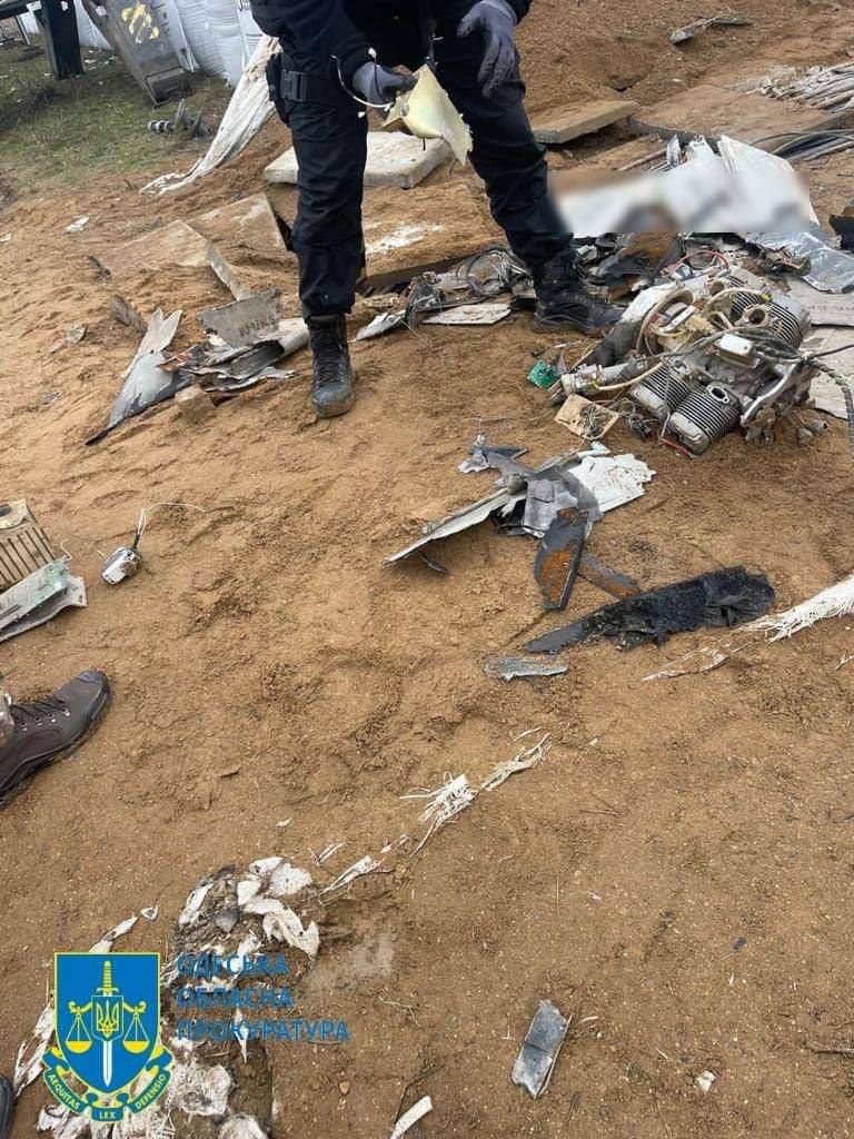 У Чорнобаївці стався масовий мор птахів через злочини армії росії 