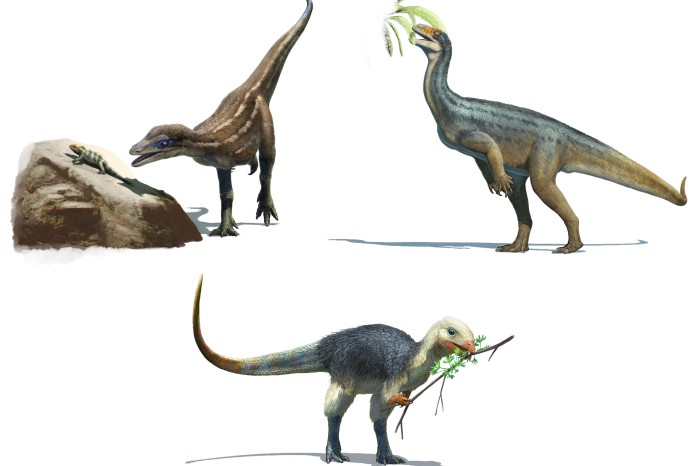 Ранні динозаври та їх раціон. Lesothosaurus є всеїдною твариною, Buriolestes є м'ясоїдною твариною, а Thecodontosaurus є травоїдною твариною. Інфографіка: Gabriel Ugueto