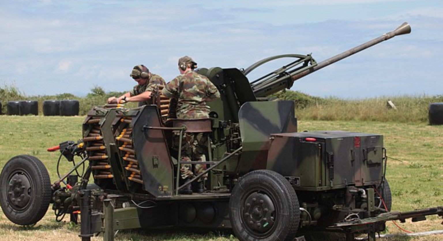 Литва передасть Україні зенітні установки L70