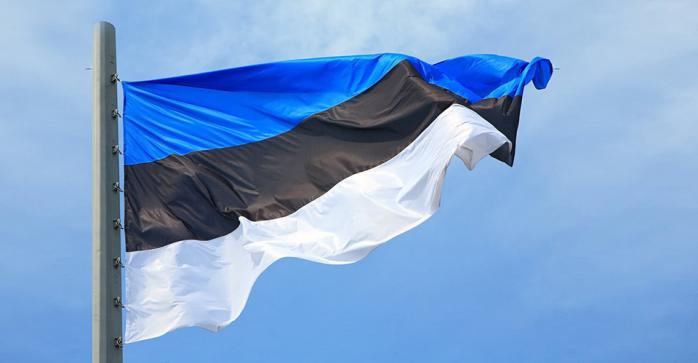 Рекордний пакет військової допомоги Україні передасть Естонія. Фото: 