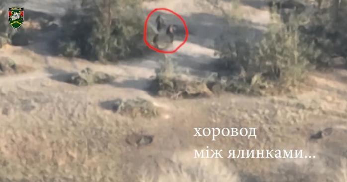 Уничтожение российских оккупантов, скриншот видео