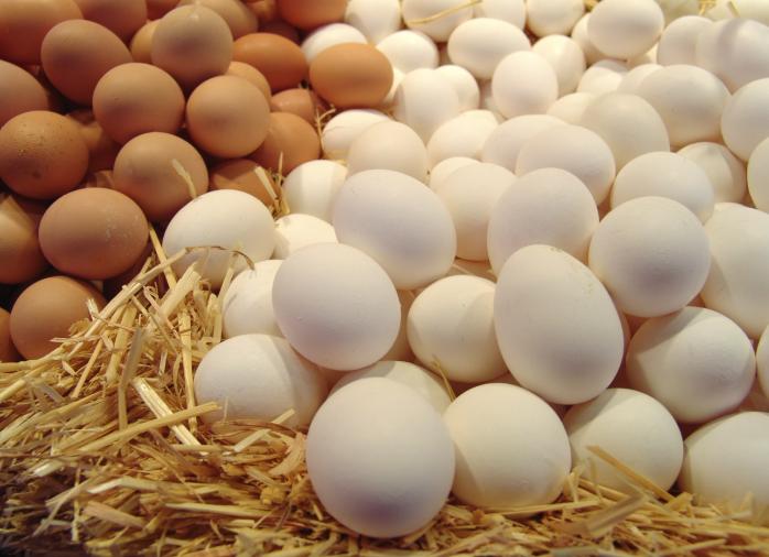 Яйця на вагу пропонують сортувати і продавати в Україні