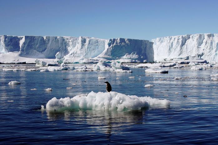 Площа морського льоду навколо Антарктиди зменшилася до мінімуму за 44 роки спостережень