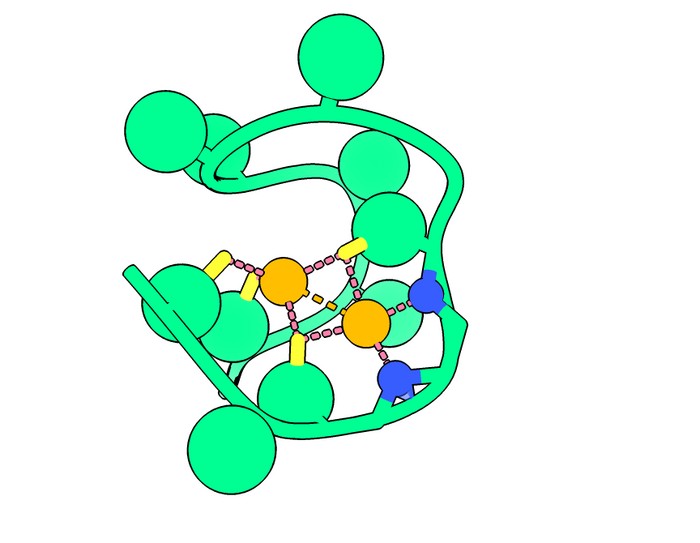 На комп'ютерному зображенні пептиду Nickelback видно атоми азоту (синього кольору), які зв'язують два критично важливі атоми нікелю (помаранчевого кольору). Вчені, які ідентифікували цю частину білка, вважають, що вона може дати ключ до виявлення планет на межі виникнення життя. Джерело: The Nanda Laboratory
