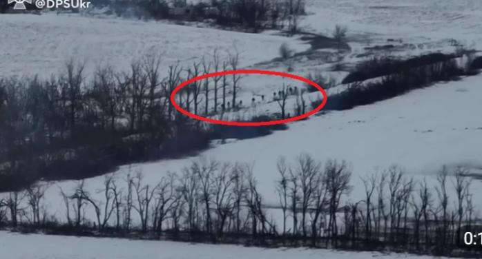 Пограничники и артиллерия ВСУ ударили по пехоте рф на Луганщине