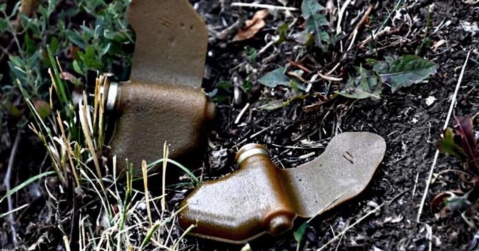 A resident of the Kherson region exploded, collecting in the field mines “Petal”