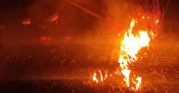 Низка пожеж сталися за добу на Київщині, фото: ДСНС