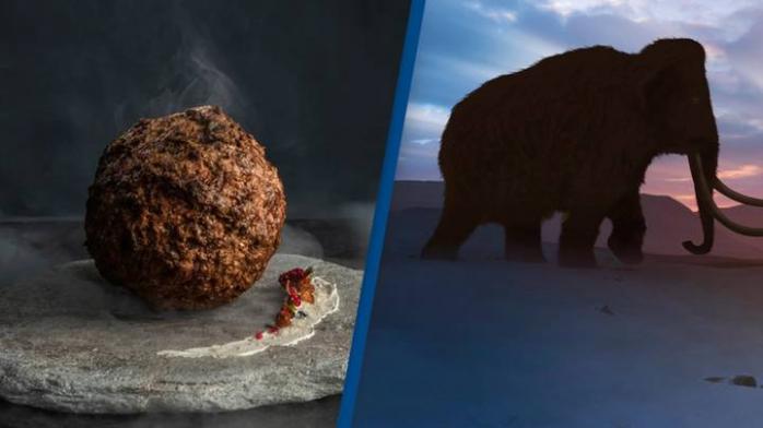 В музее Амстердама выставили блюдо из вымершего животного – фрикадельку из мяса мамонта