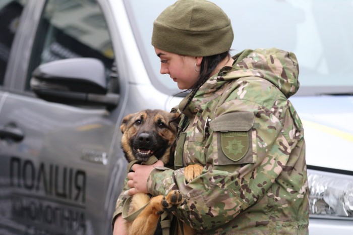 Поліція Київщини отримала від Нідерландів 11 собак-саперів, фото: поліція Київської області