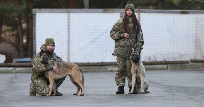 Полиция Киевщины получила от Нидерландов 11 собак-саперов, фото: полиция Киевской области