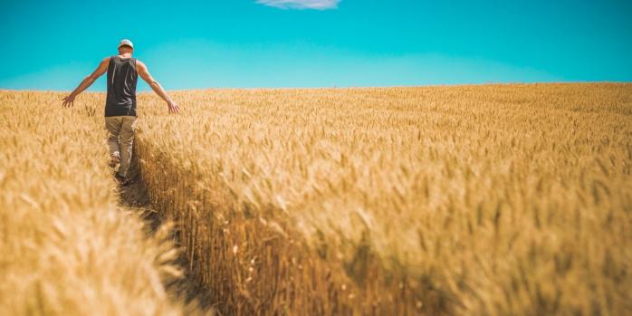 Польша и Венгрия запретили импорт зерна из Украины