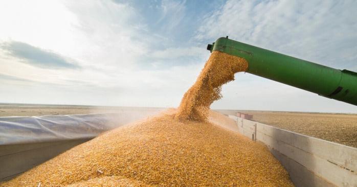 ЄС та Польща досягли компромісу щодо імпорту зерна з України. Фото: glavnoe.in.ua