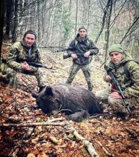 Медведицу на Закарпатье могли убить на незаконной охоте с участием должностных лиц погранслужбы