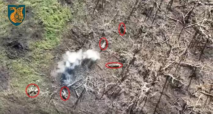 Морпіхи ЗСУ атакували з дронів скупчення солдатів рф