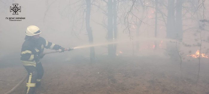 Лісова пожежа на Київщині, фото: ДСНС
