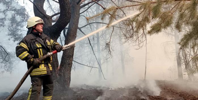 Лісова пожежа на Київщині, фото: ДСНС