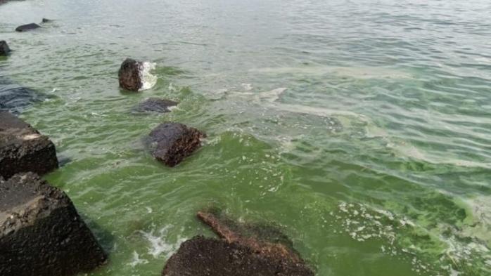 На Николаевщине в воде тоже обнаружили холеровидный вибрион