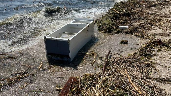 Соленость воды в Черном море у Одессы нормализуется, но купаться в нем запрещено