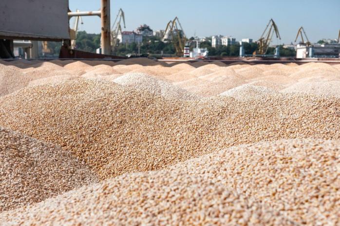 Киев обратится к Турции и ООН с запросом о продлении зернового соглашения без рф