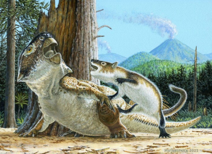 Так могла виглядати сутичка між ссавцем та динозавром 125 млн років тому, зображення: Канадський музей природи