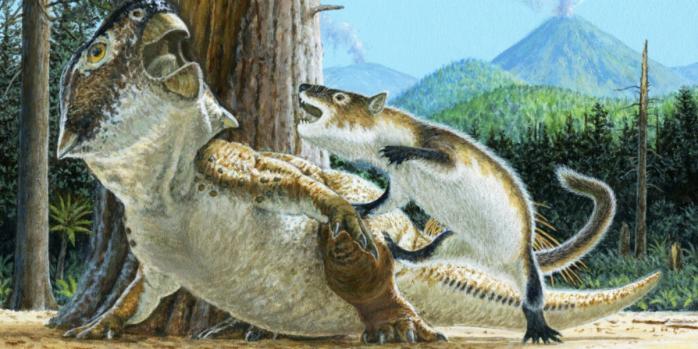 Так могла выглядеть стычка между млекопитающим и динозавром 125 млн лет назад, изображение: Канадский музей природы