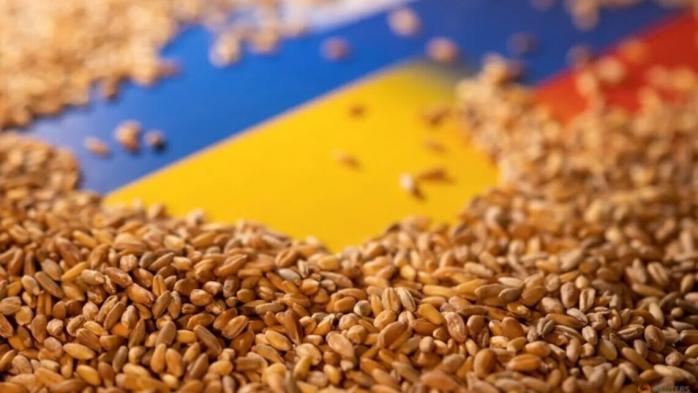 ЕС хочет экспортировать большинство украинской с/х продукции «путями солидарности»