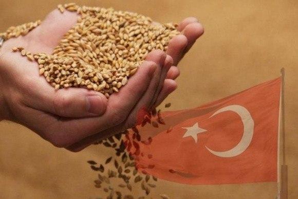 россия хочет продавать зерно в Африку при посредничестве Турции и помощи Катара