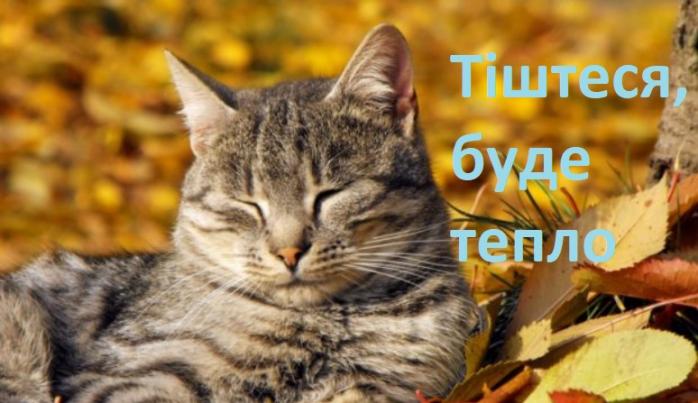 Какая будет погода в сентябре — прогноз Укргидрометцентра — прогноз погоды на сентябрь