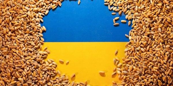 Еврокомиссия не продлила действие эмбарго на украинское зерно. Фото: