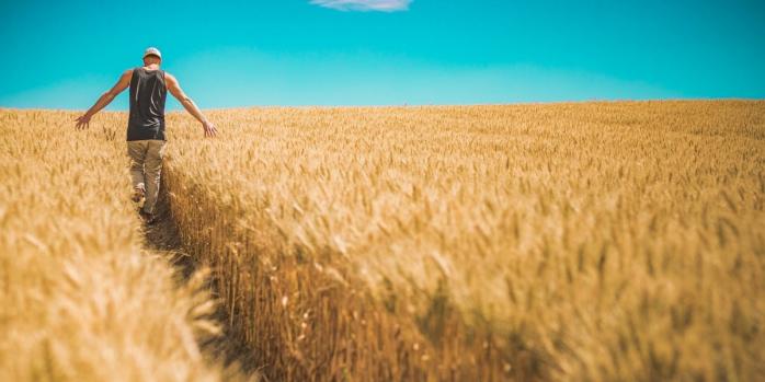 Україна судитиметься з країнами Євросоюзу через заборону імпорту зерна